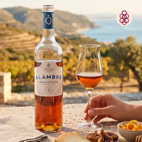 A bottle of Alambre Moscatel wine and a filled wine glass on a stone table, with a hand holding the glass and a scenic coastal landscape in the background. The wine bottle label reads 'Alambre' and 'Jueza Marina y Tierra'.