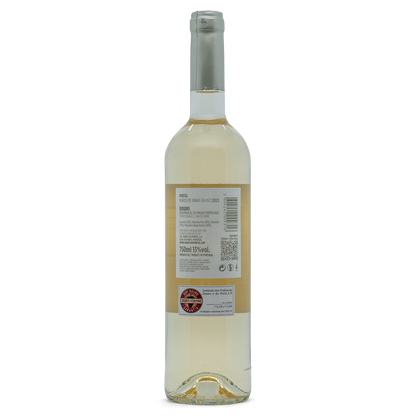 Muros de Vinha