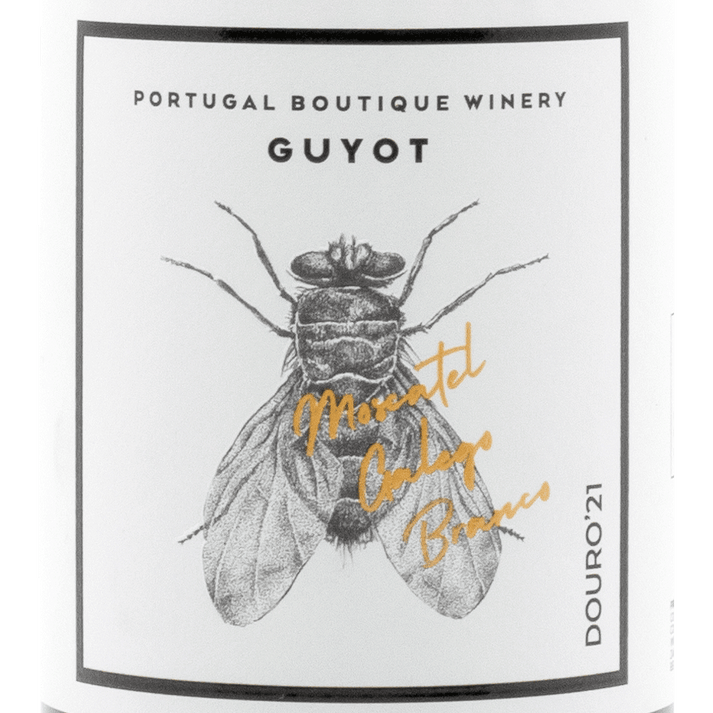 Guyot