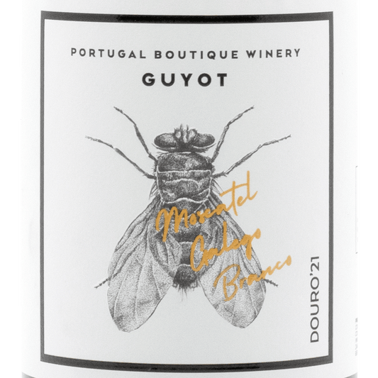 Portugal Best Wines