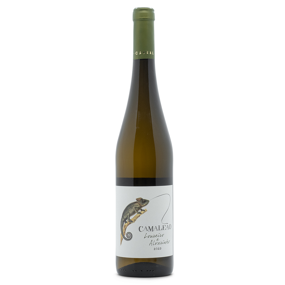 Portugal Best Wines