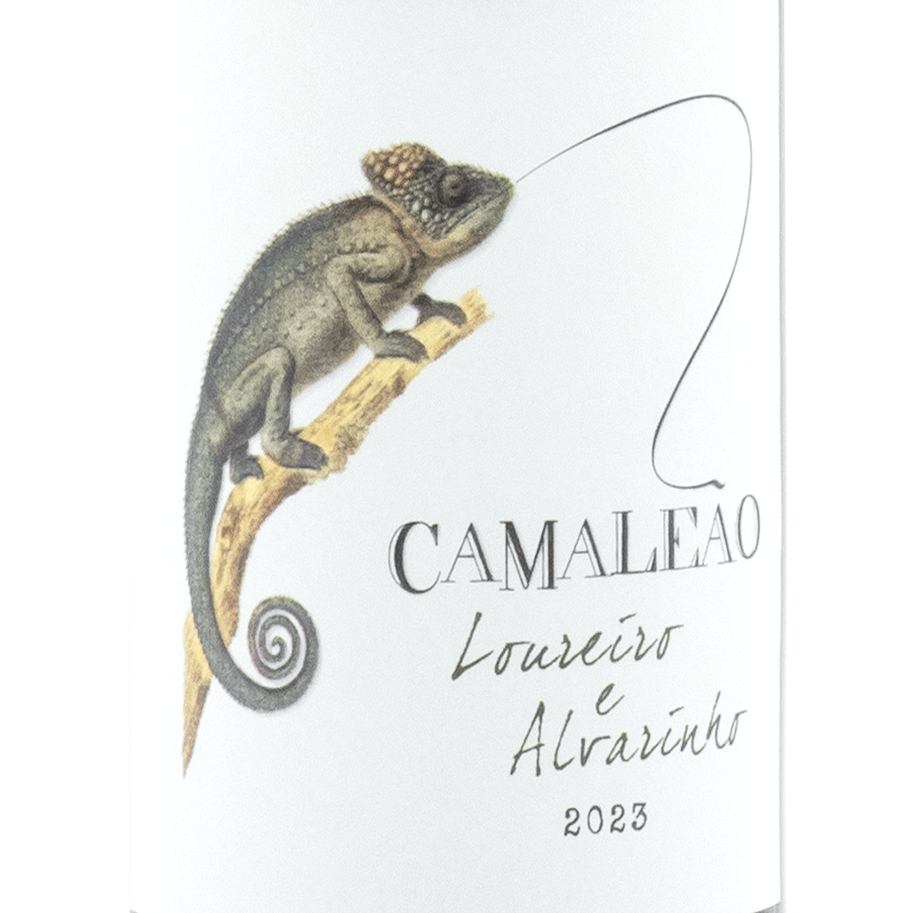 Portugal Best Wines