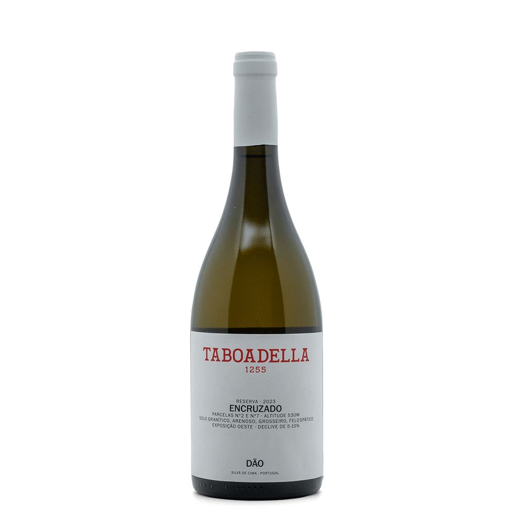 Portugal Best Wines