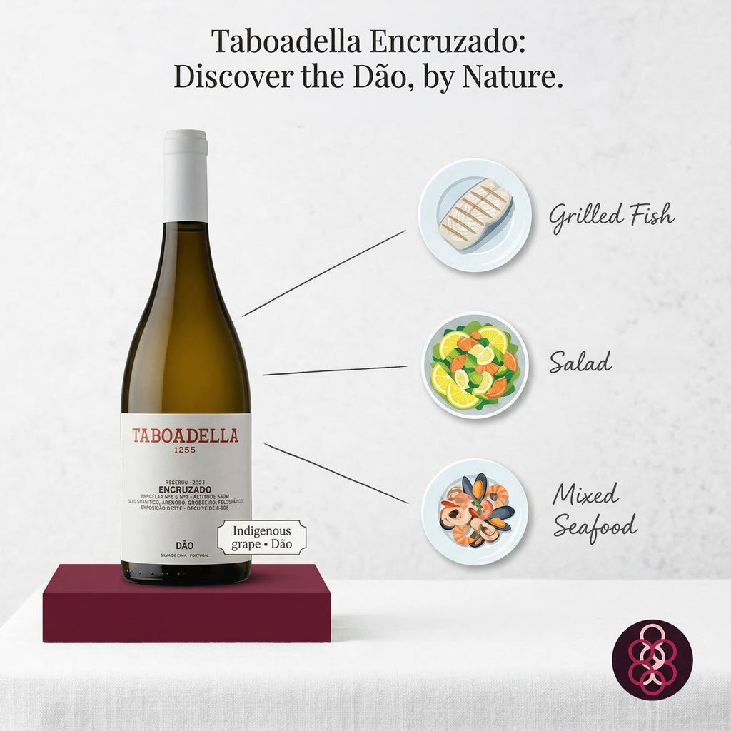 Taboadella Encruzado wine bottle with food pairings on a white background
