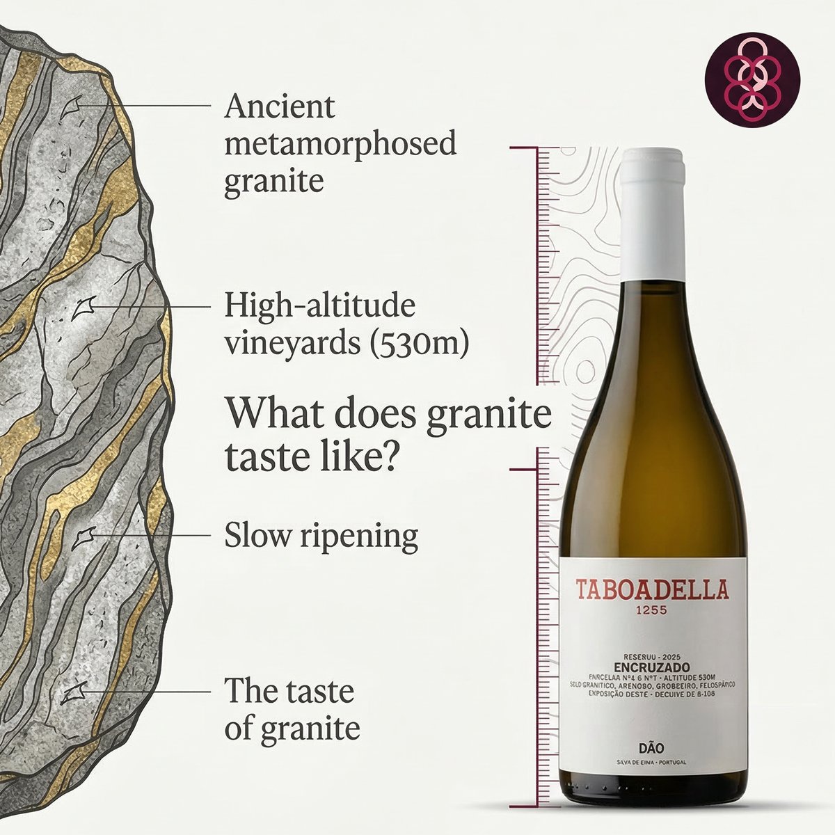 105063 - Taboadella Encruzado Reserva 2023 - White Wine - Portugal Best Wines