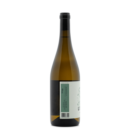 Hugo Mendes - Portugal Best Wines