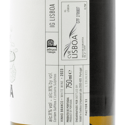Hugo Mendes - Portugal Best Wines
