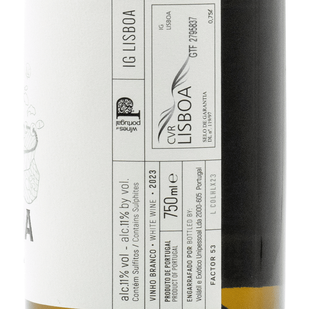 Hugo Mendes - Portugal Best Wines