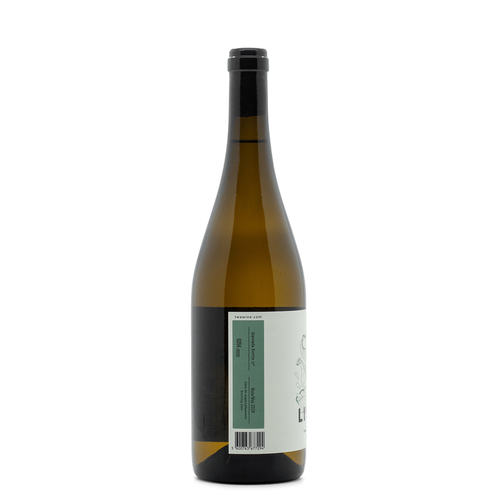 Hugo Mendes - Portugal Best Wines