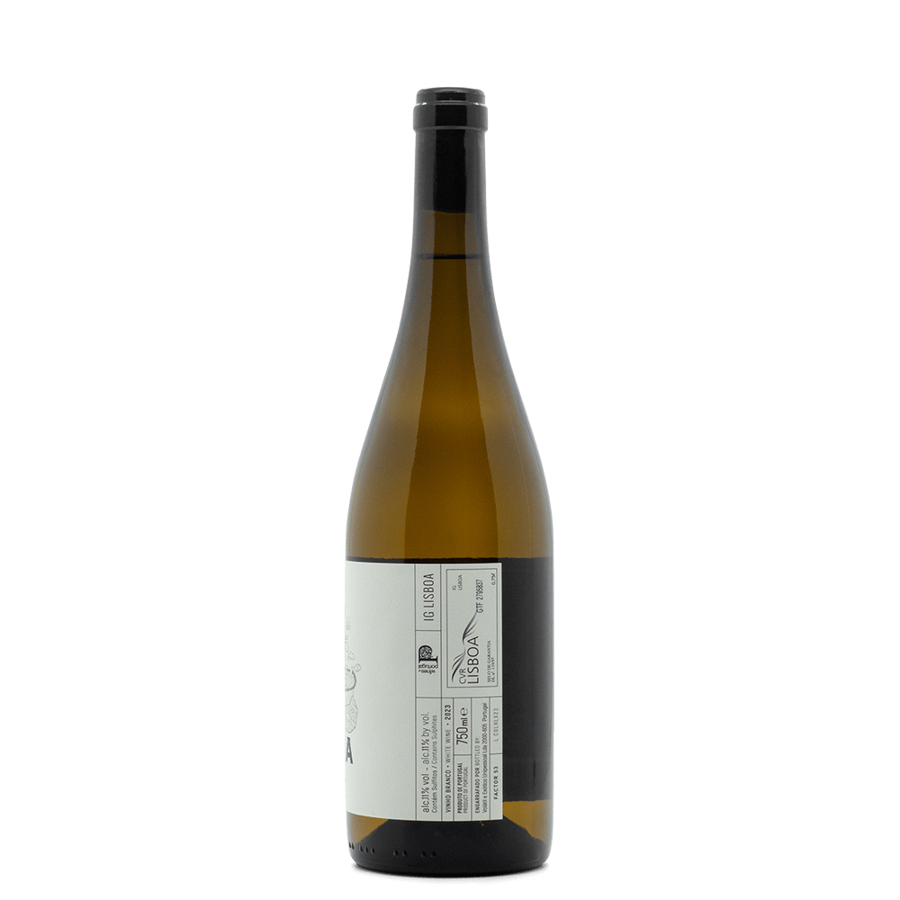 Hugo Mendes - Portugal Best Wines