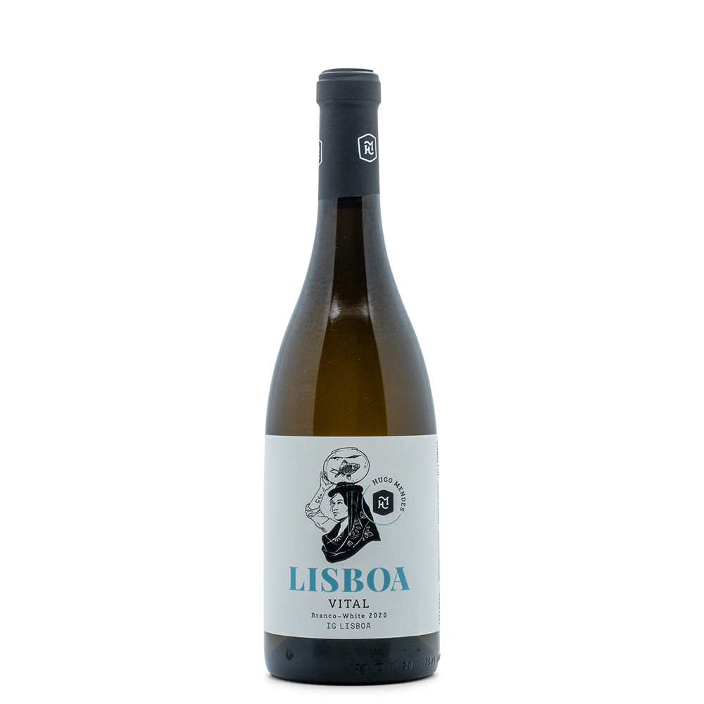Portugal Best Wines