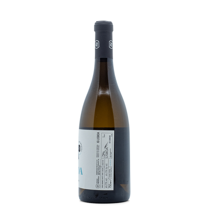 Hugo Mendes Vital - Portugal Best Wines