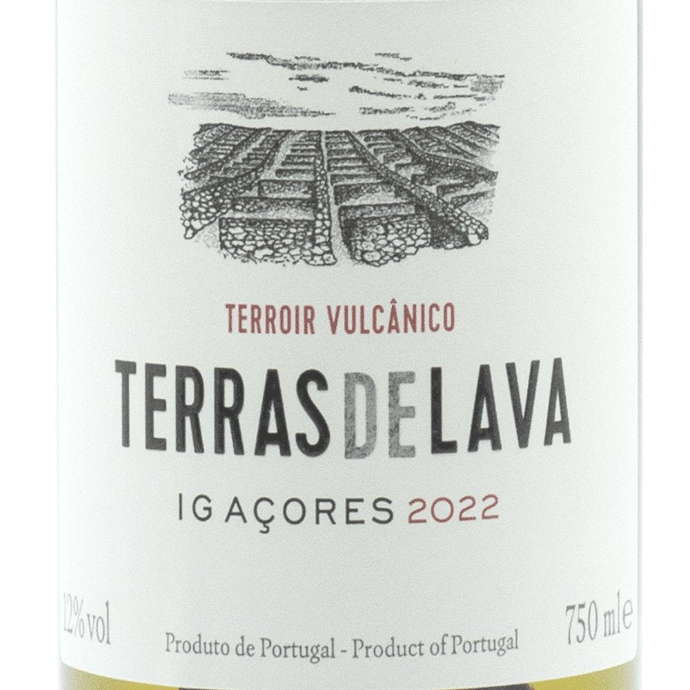 Wine bottle label with 'Terras de Lava' branding and vineyard illustration on a white background