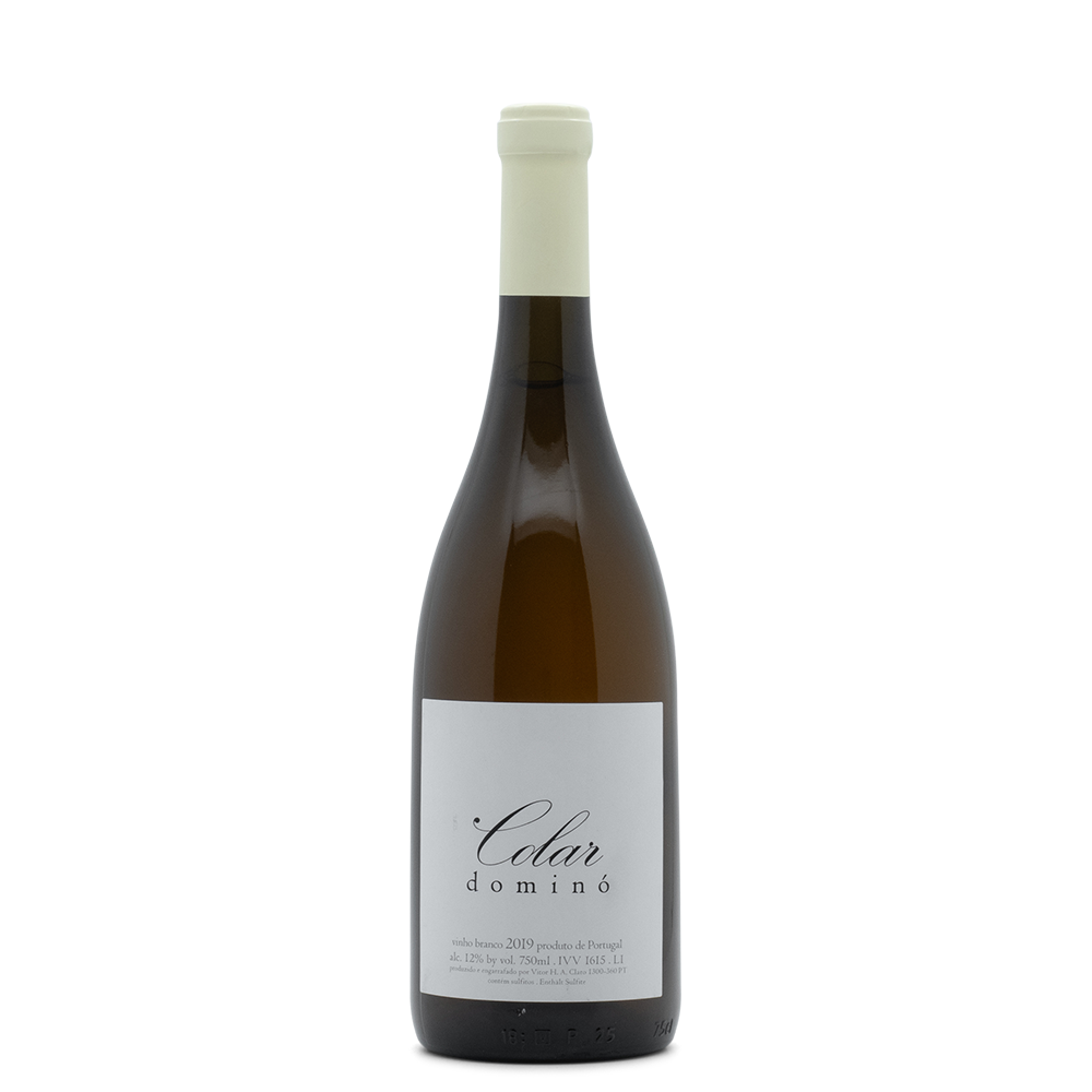 Portugal Best Wines