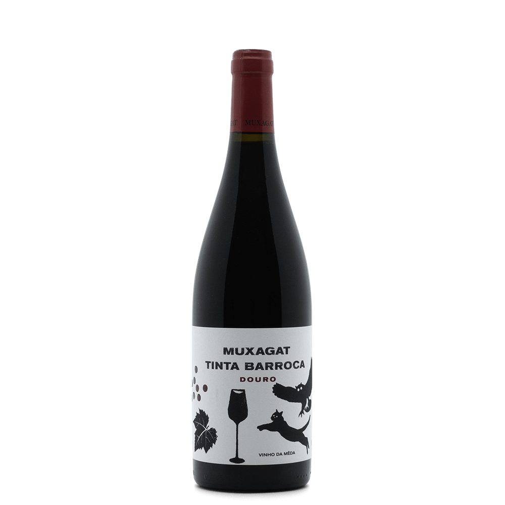 Portugal Best Wines