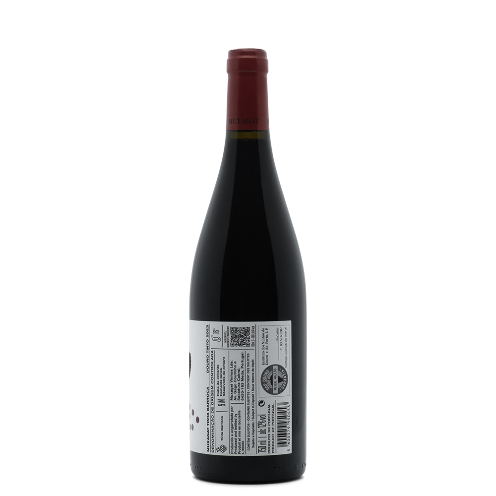 Portugal Best Wines