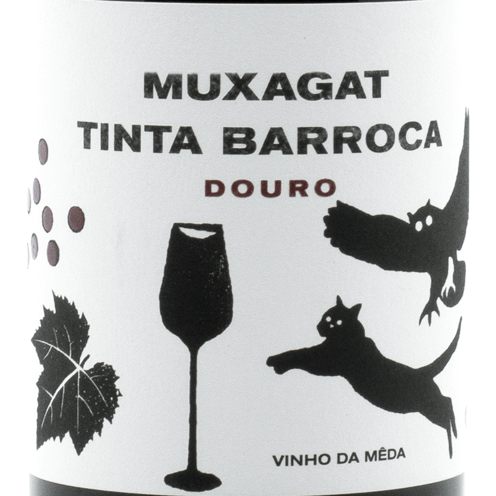 Portugal Best Wines