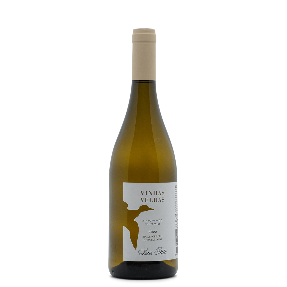 Portugal Best Wines
