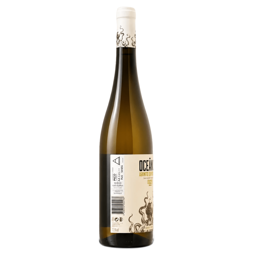 Oceanico-bottle-back Wine bottle with a visible label on a white background