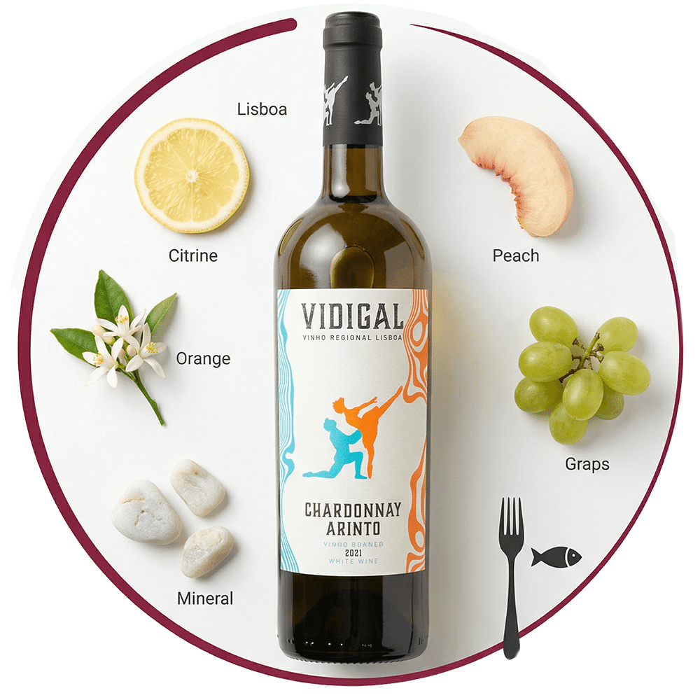 106306 - Vidigal Bailado White 2021 - White Wine - Portugal Best Wines
