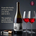 Wine bottle with two glasses of red wine on a dark background, featuring text and a logo.