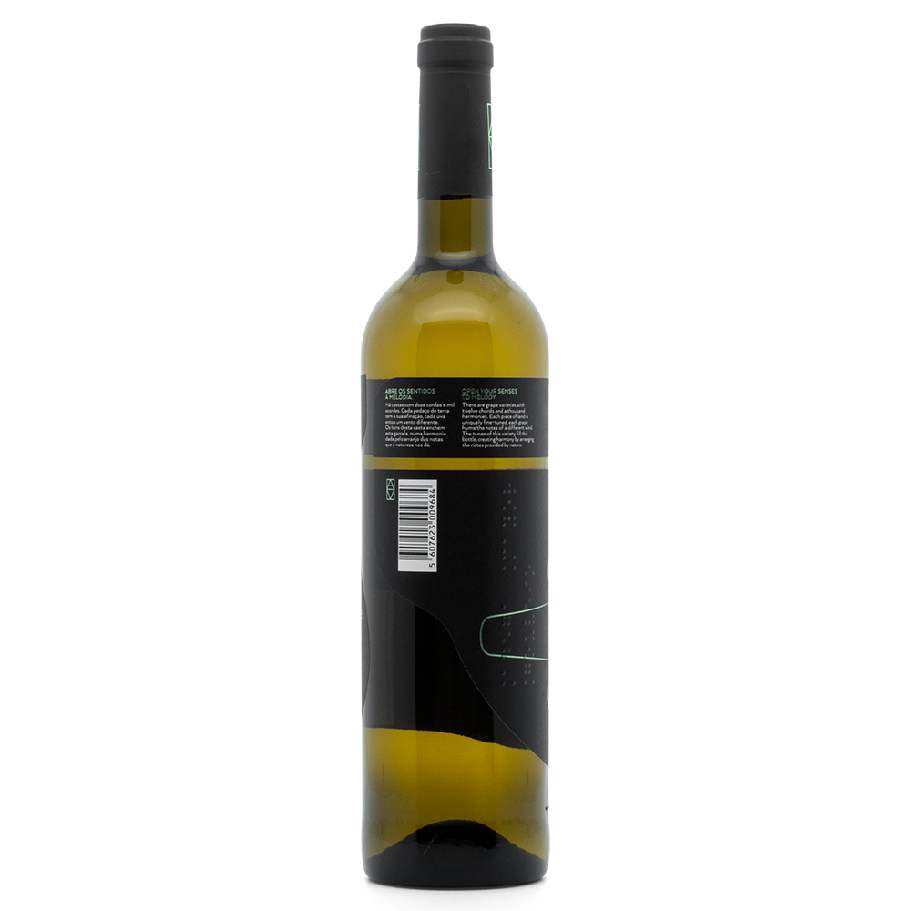 Portugal Best Wines