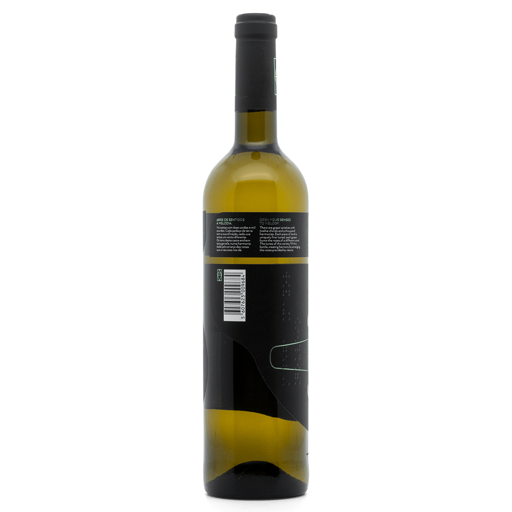 Adega Mayor Gouveio - Portugal Best Wines