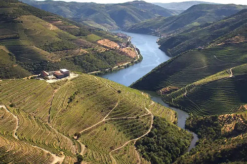 Bulas-Family-Estate-Douro. Aerial view of a winding blue river cutting through green terraced hillsides, with mountains in the background and a small building near the left side.