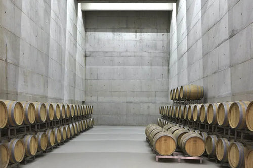 Casa-de-Sarmento. Rows of wooden wine barrels stored on racks inside a large concrete cellar or aging room.