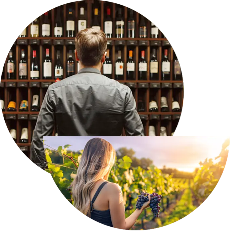 A circular collage showing a man from behind standing in front of a wine cellar shelf filled with wine bottles, and a woman holding a bunch of dark grapes in a vineyard at sunset.