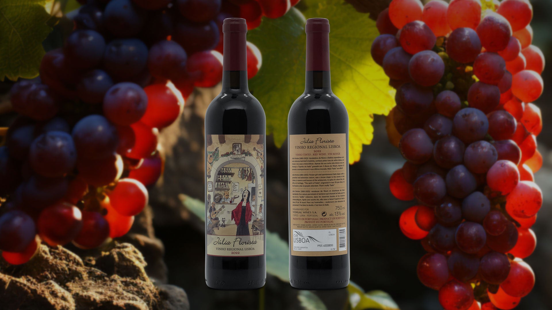 Portugal Best Wines