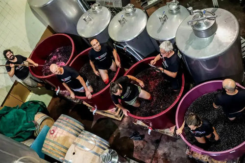 MÁRCIO LOPES WINEMAKER Overhead view of several people standing in large red and purple fermentation tubs filled with grape skins or grapes in a winery, with stainless steel tanks behind them.