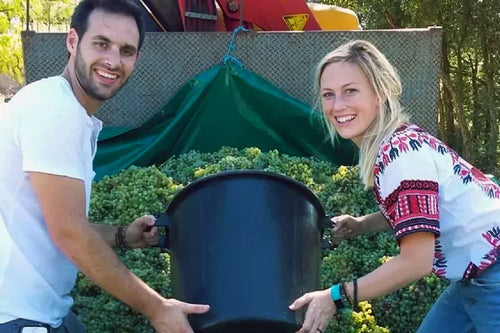 Pires-and-Turner-winery. A man and a woman outdoors holding a large black plastic tub or barrel in front of a green tarp and garden background.