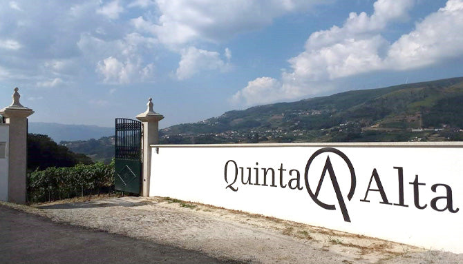 Portugal Best Wines