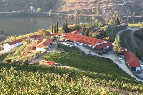 Quinta-Nova-winery. An aerial view of a vineyard estate with green grapevines in the foreground, white buildings with red-tiled roofs, and a lake or river in the background.