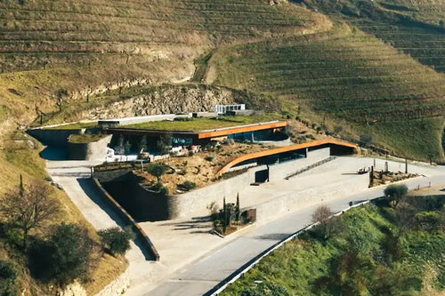 Quinta-da-Vacaria-Winery. Aerial view of a modern mountain villa with terraced green roofs, integrated into a steep hillside with terraced fields.