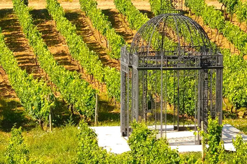 Quinta-do-portal-winery. A black metal gazebo with a domed roof stands on a white stone base in a vineyard, surrounded by rows of green grapevines under bright sunlight.