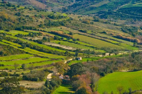 Ramilo-wines. A scenic landscape of rolling green hills and terraced fields with a few small buildings and trees scattered throughout in the Mafra area, Portugal