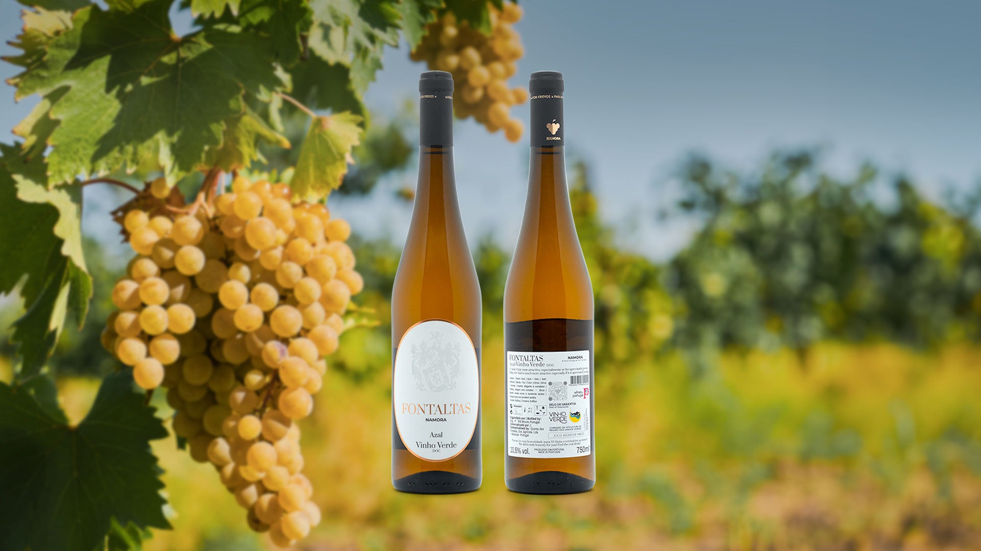 Portugal Best Wines