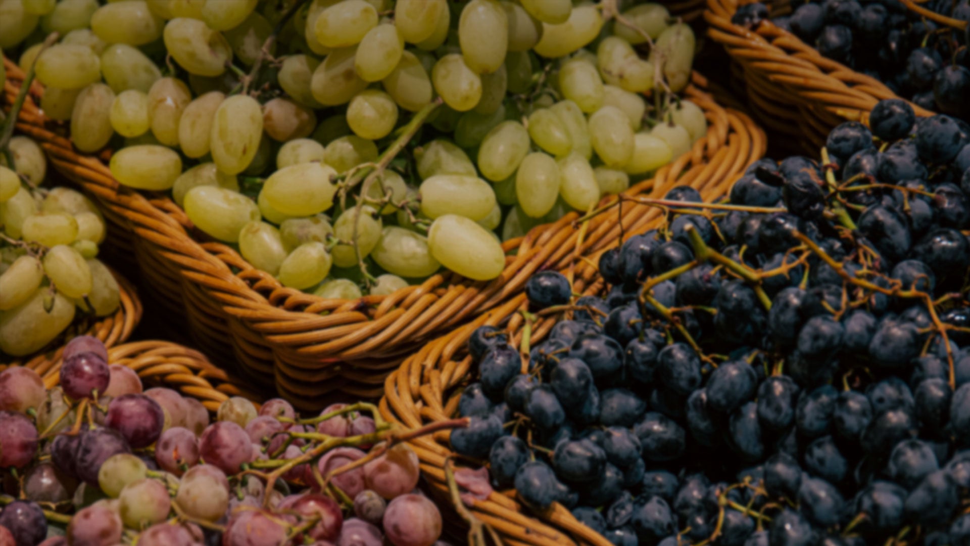Portugal Best Wines