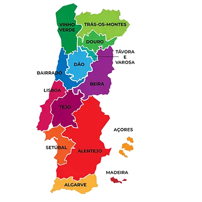Explore all Portuguese wine regions!
