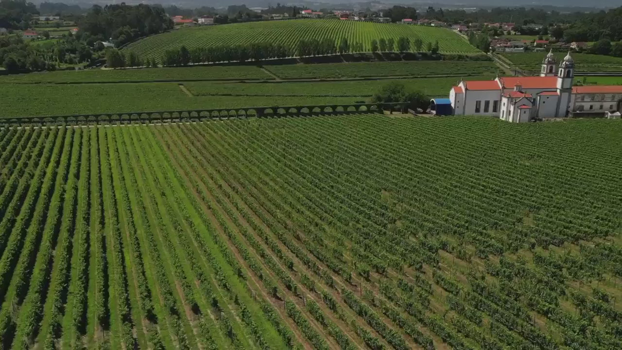 Portugal Best Wines Hero Video